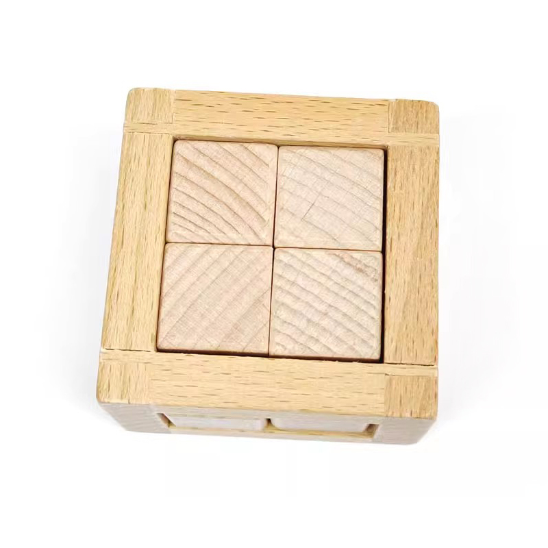 Educational Disentanglement To - Woodworking Hobby recension och pris